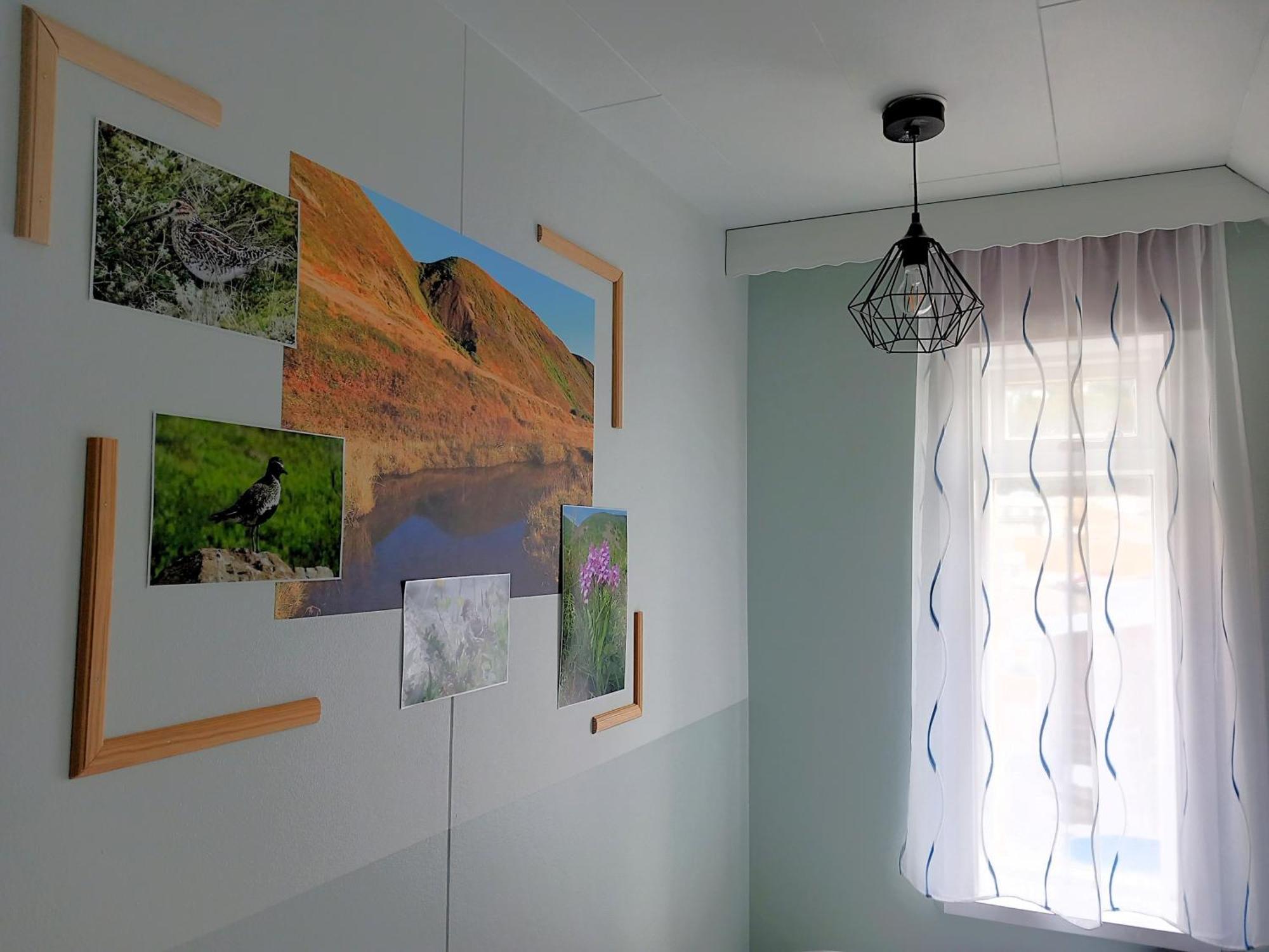 Husavik Green Hostel Zewnętrze zdjęcie